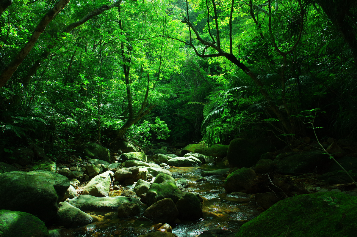 豊かな自然環境との共存