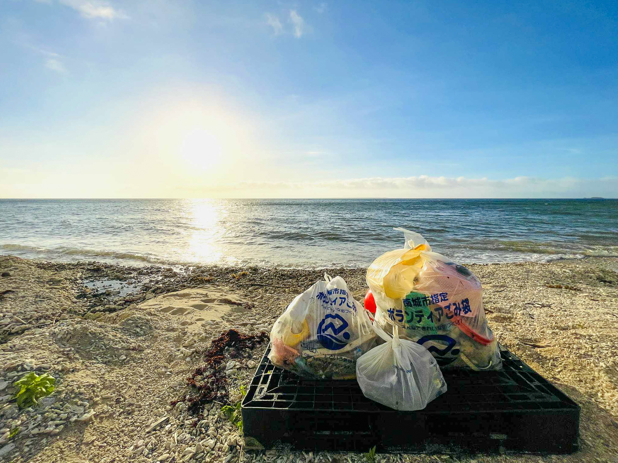 サステナビリティ